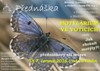 Motýlárium plakát – kopie