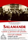 Salamandr 2019 plakát (2)